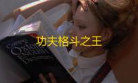 功夫格斗之王